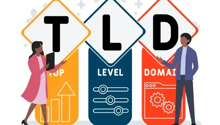 SEO TLD New TLDs